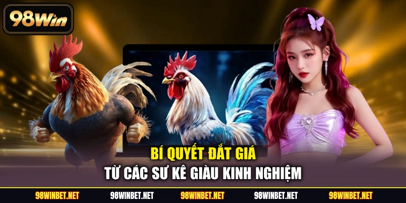Sảnh ICF - 4+ Đấu Trường Cá Cược Đá Gà Được Săn Đón - TORAWIN