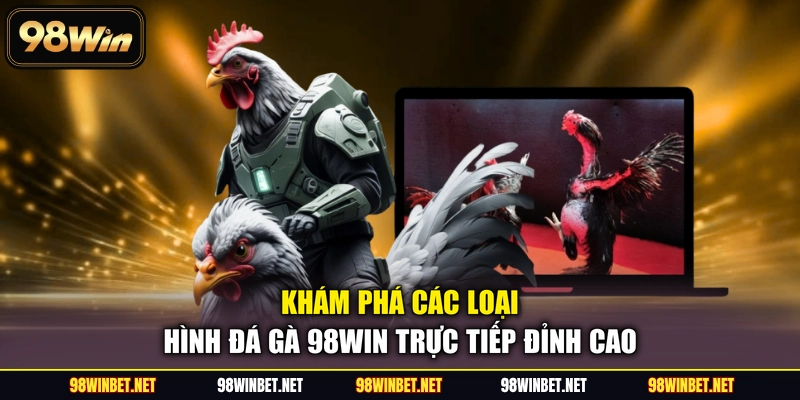 Đá Gà 98WIN - Sảnh Cược Trực Tiếp Kịch Tính Và Hấp Dẫn - TORAWIN