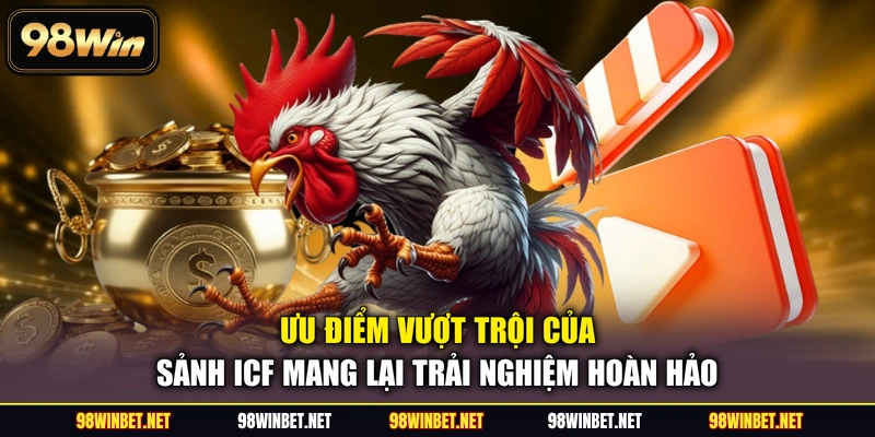 Sảnh ICF - 4+ Đấu Trường Cá Cược Đá Gà Được Săn Đón - TORAWIN